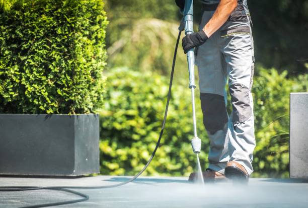 Best Building Exterior Washing  in Allendale, SC