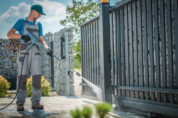 Best Graffiti Removal  in Allendale, SC